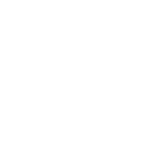 COMBATIVESHOMES audit